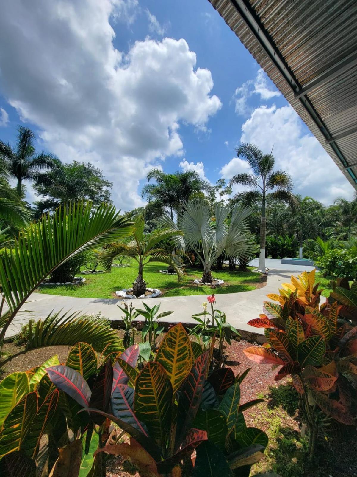 Hotel Campestre Arenal La Fortuna Exterior foto